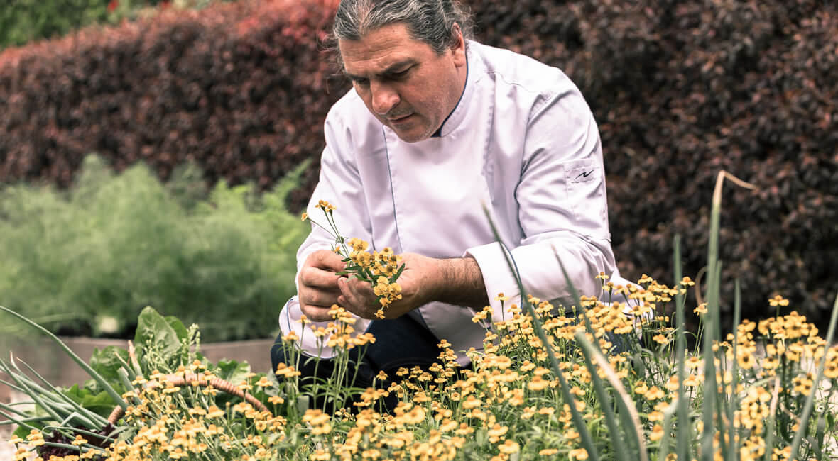 about hacienda la sierra hotel colombia coffee experience