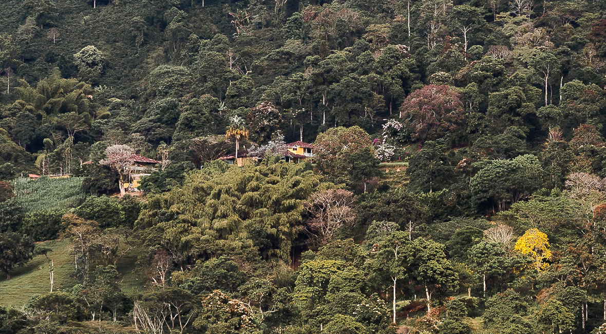 about hacienda la sierra hotel colombia coffee experience