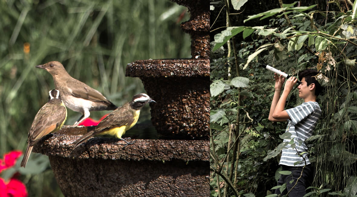 birding colombia hacienda la sierra hotel coffee experience