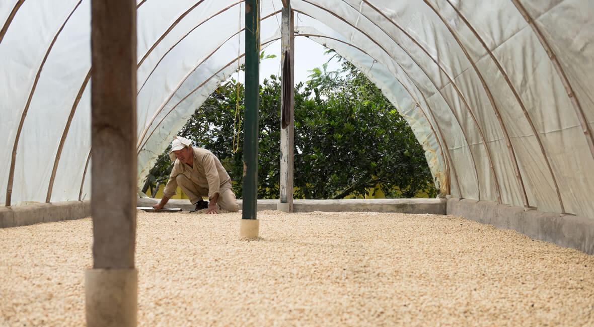 Coffee hacienda la sierra hotel colombia