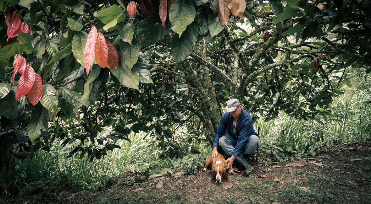 environment hacienda la sierra hotel colombia
