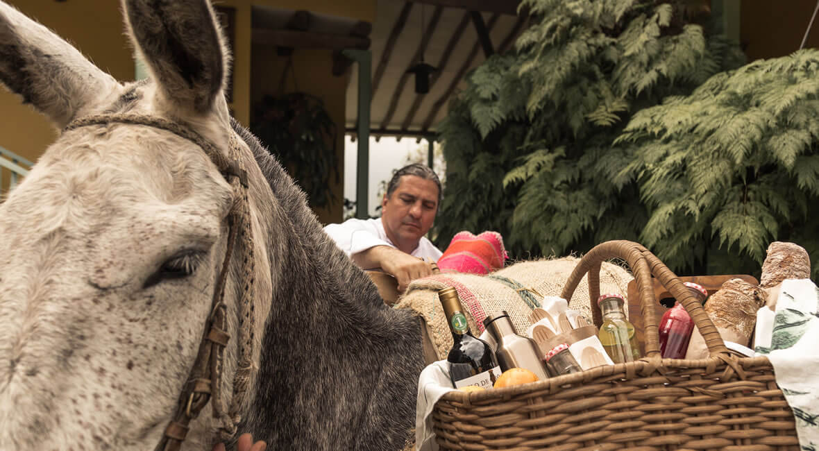 food hacienda la sierra hotel colombia coffee experience