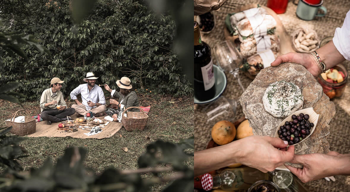 food hacienda la sierra hotel colombia coffee experience