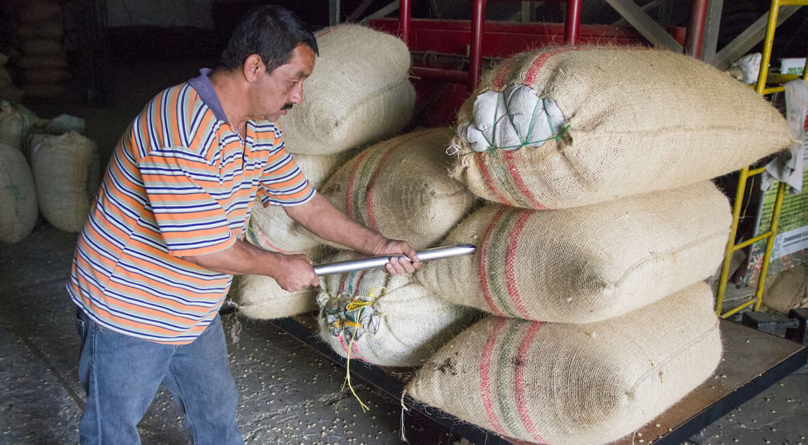 fredonia hacienda hotel la sierra coffee colombia