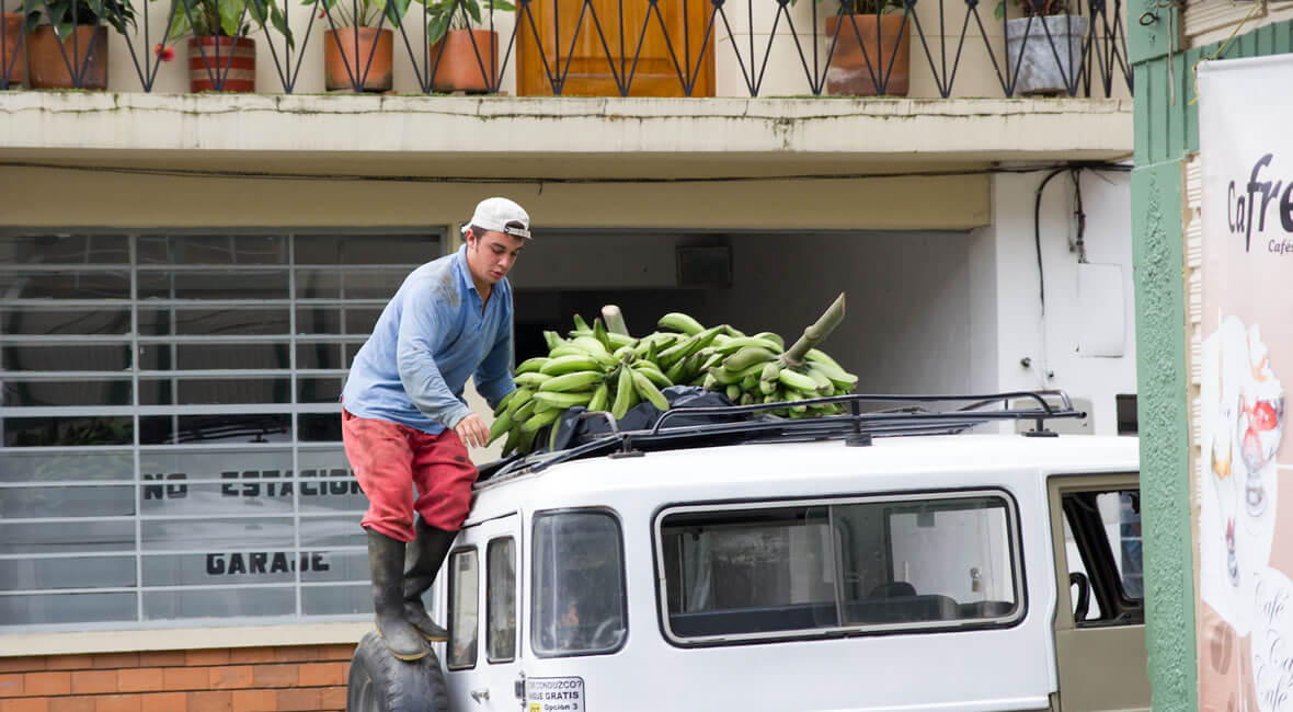 fredonia hacienda hotel la sierra coffee colombia