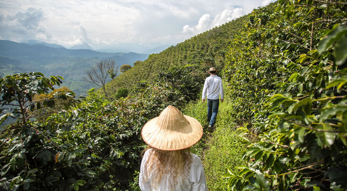 hiking hacienda la sierra hotel colombia coffee