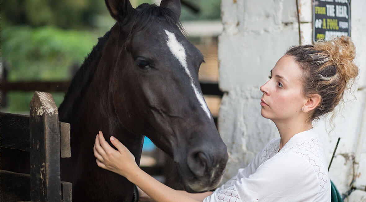 horses hacienda la sierra hotel colombia coffee experience