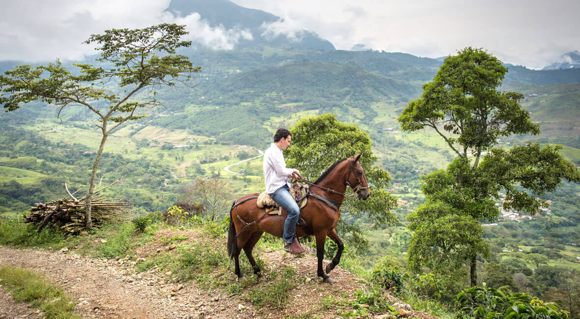 horses hacienda la sierra hotel colombia coffee experience