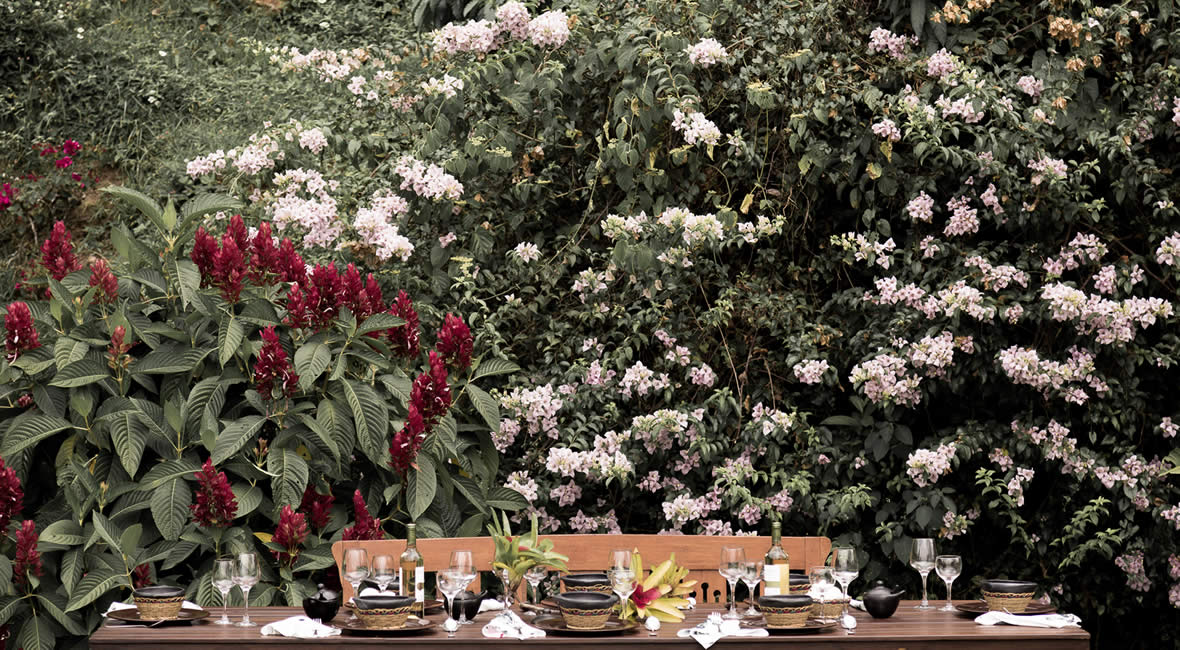 food hacienda la sierra hotel colombia coffee experience