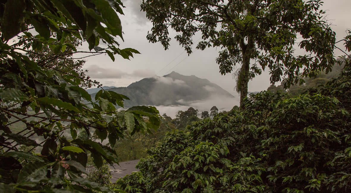 hiking mountains hacienda la sierra hotel colombia coffee