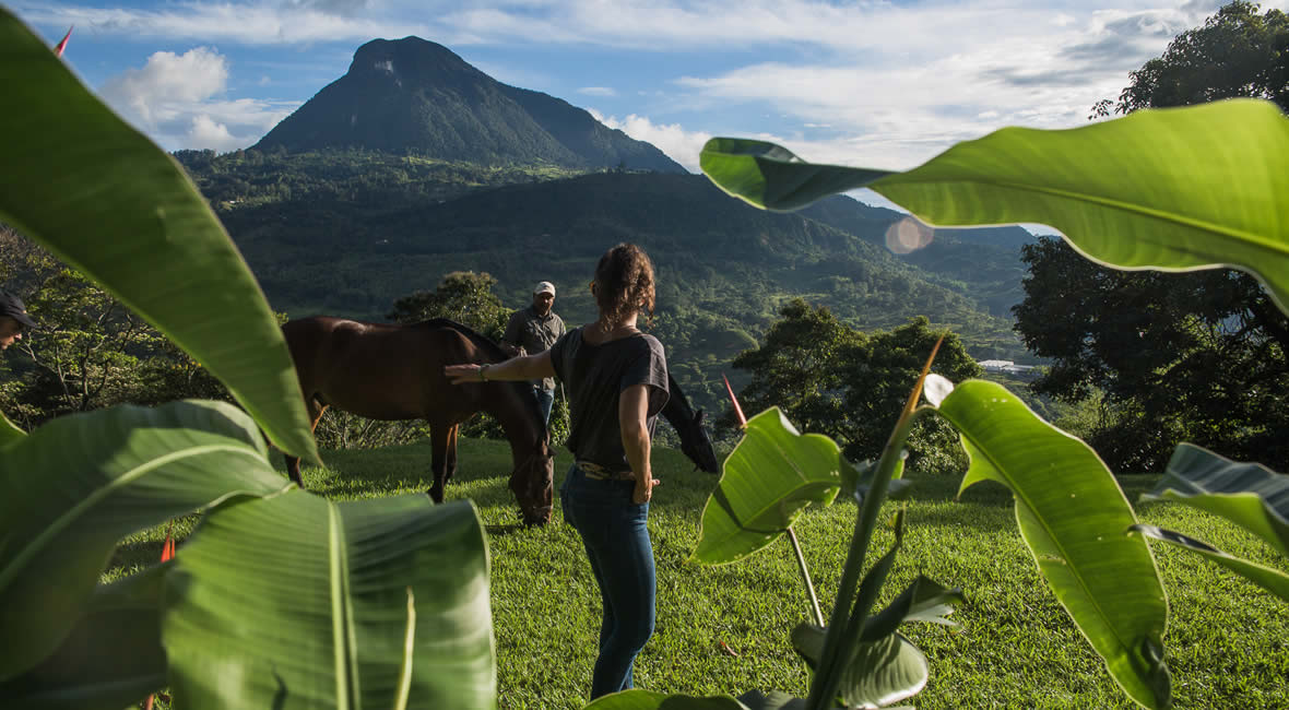 horses hacienda la sierra hotel colombia coffee experience